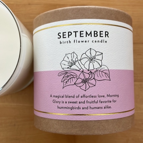 NEW 100% Soy Wax Scripted Fragrance September Birth Month Flower Soy Candle - Picture 7 of 9